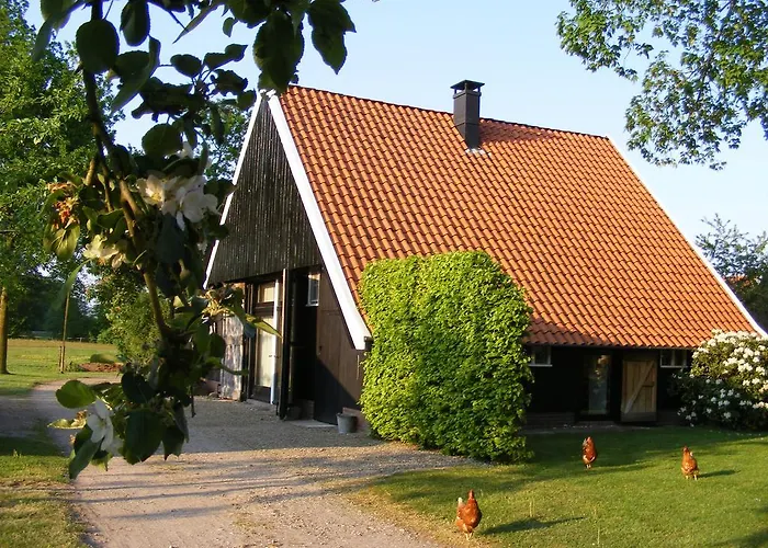 Feriehus 